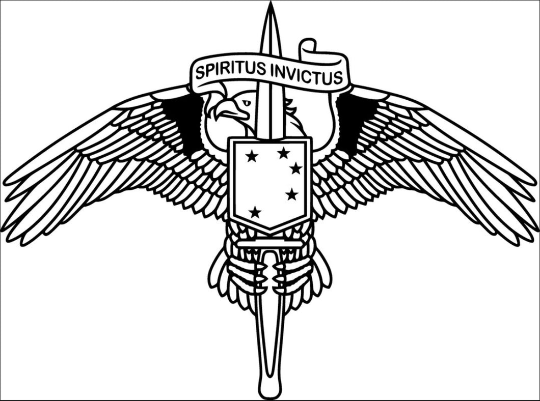 The Flatline (sponsor a warfighter)
